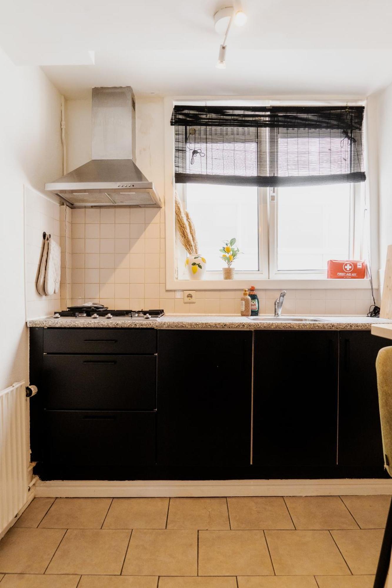Apartment Chic Rembrandt Flat Near Bars, Cafes, Museums Amsterdam